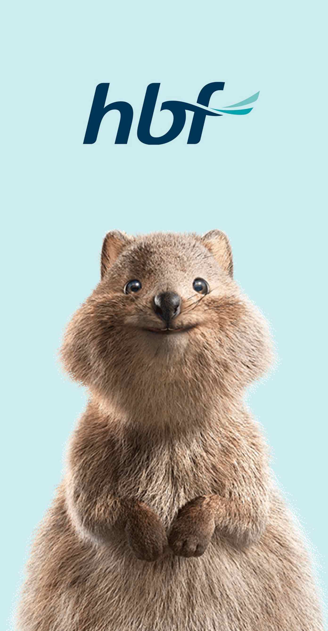 HBF / Digital Transformation